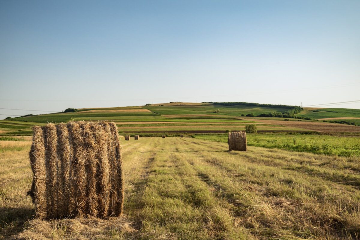 photo of hay rolls on grass field