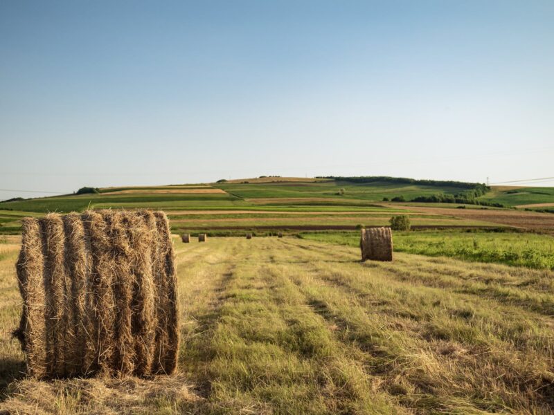 photo of hay rolls on grass field